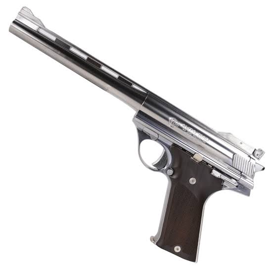 Tom Hills 44口径なんて両手で打っても先端が反動でブレて と言うより手を痛めます 今はやってないと思うけど ラスベガスから車でアリゾナの方に行くツアーでやってました 型式とか詳しくないのですが 銃とライフルと猟銃の試射もできました