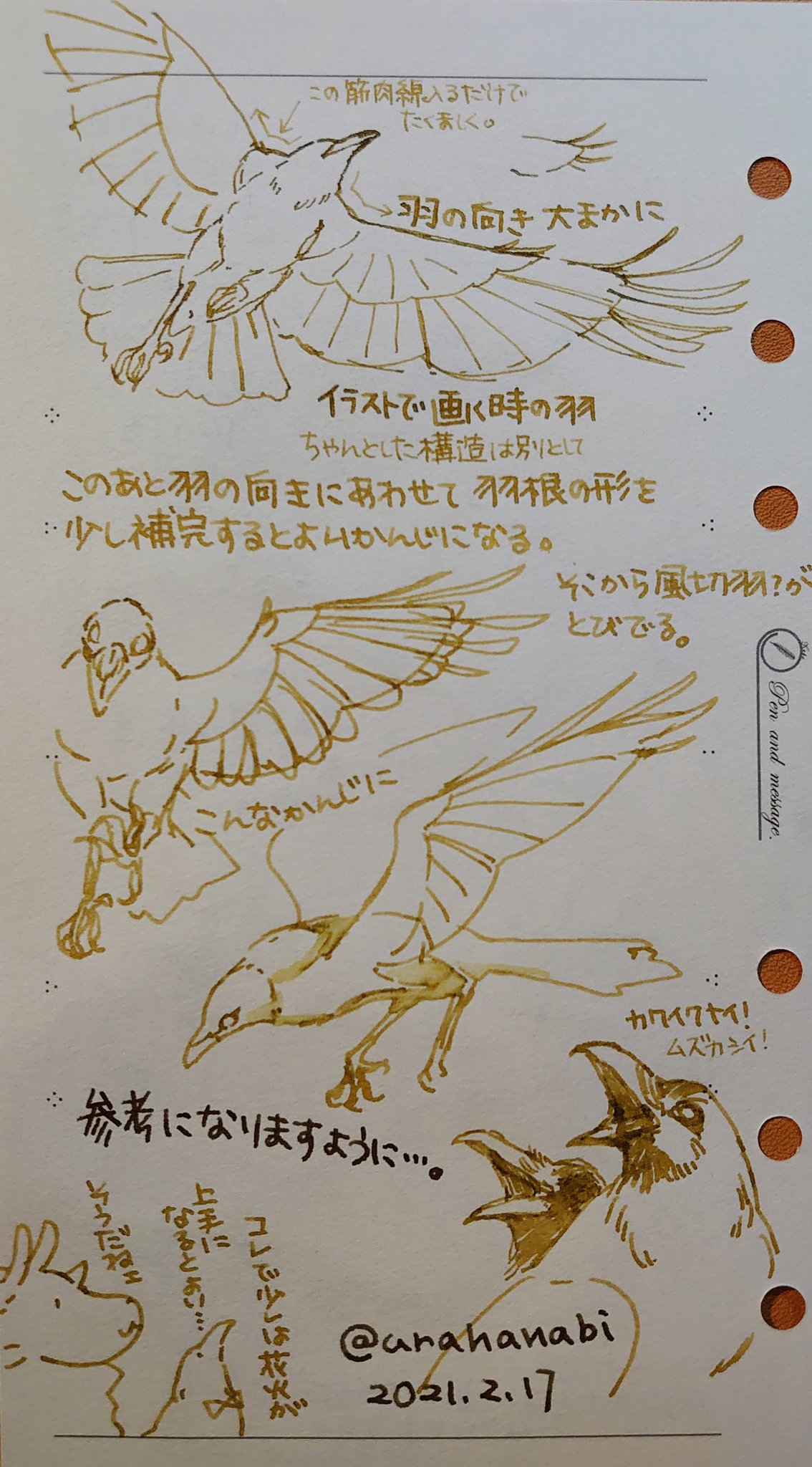 裏花火 在 Twitter 上 カラスの書き方 難しい 実はとってもかっこいいのでかっこ良く画いて欲しい コツはがっしりと大きく 脚も細く書きすぎないことと 太い首から背中の長さもかっこいいのです もともと カラスは太陽の黒点に見立てられ 太陽を運ぶとされた鳥です