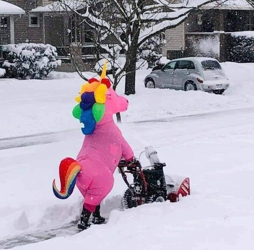 For_Fox_Sake1's tweet photo. This is Sally clearing snow &amp; bringing smiles as she walks in her hood. 🦄 https://t.co/XIx2D07fNe