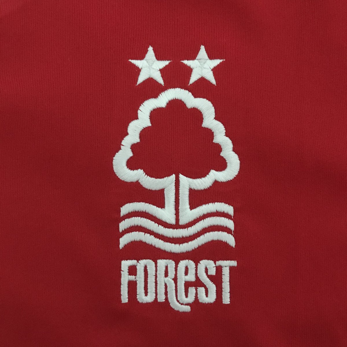 The minimalist tree design of the crest is I feel one of the most iconic and beautiful in  #EnglishFootball... introduced in 1974 after graphic designer David Lewis won a club led competition to design a new one in 1973.  #FootballDesign  #NFFC  #GraphicDesign