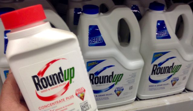 GMWatch (@gmwatch) on Twitter photo In Cahoots with the Pesticide Industry: Time for the US to halt its flacking for the agrichemical industry and to embrace a truly precautionary approach — <a href="/ByondPesticides/">Beyond Pesticides</a> beyondpesticides.org/dailynewsblog/… #gmo #glyphosate In Cahoots with the Pesticide Industry: Time for the US to halt its flacking for the agrichemical industry and to embrace a truly precautionary approach — <a href="/ByondPesticides/">Beyond Pesticides</a> beyondpesticides.org/dailynewsblog/… #gmo #glyphosate