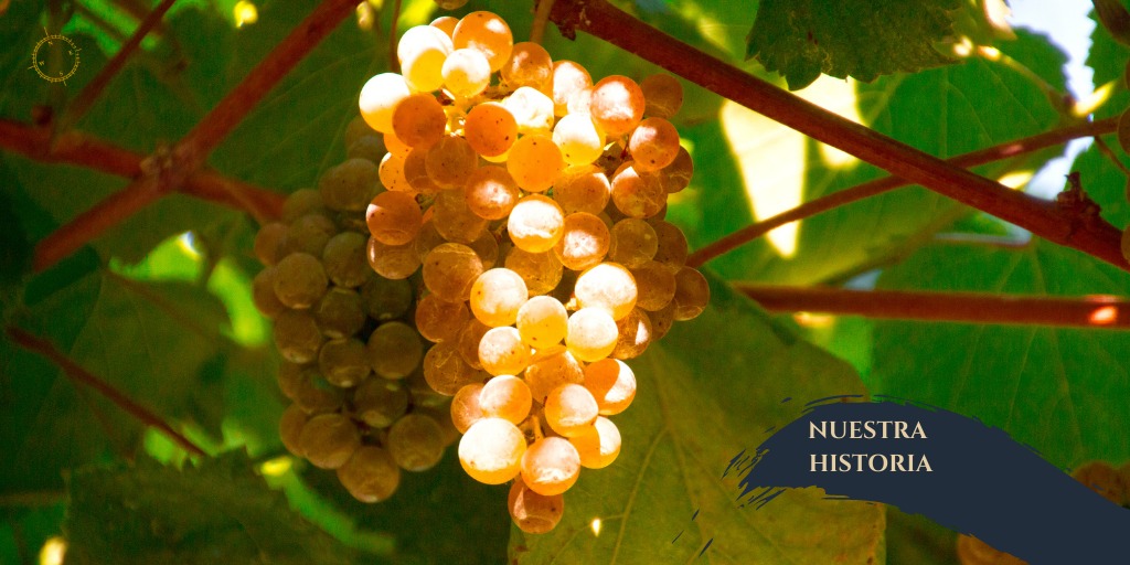 👉Nuestra historia se remonta a 1930 cuando los bisabuelos de Carlos Rey comenzaron a elaborar vino

En 2012 Carlos recoge la herencia recibida y el amor por el cuidado de las viñas y lanza al mercado un vino albariño único.

Conoce la historia completa en anadigna.com/historia/