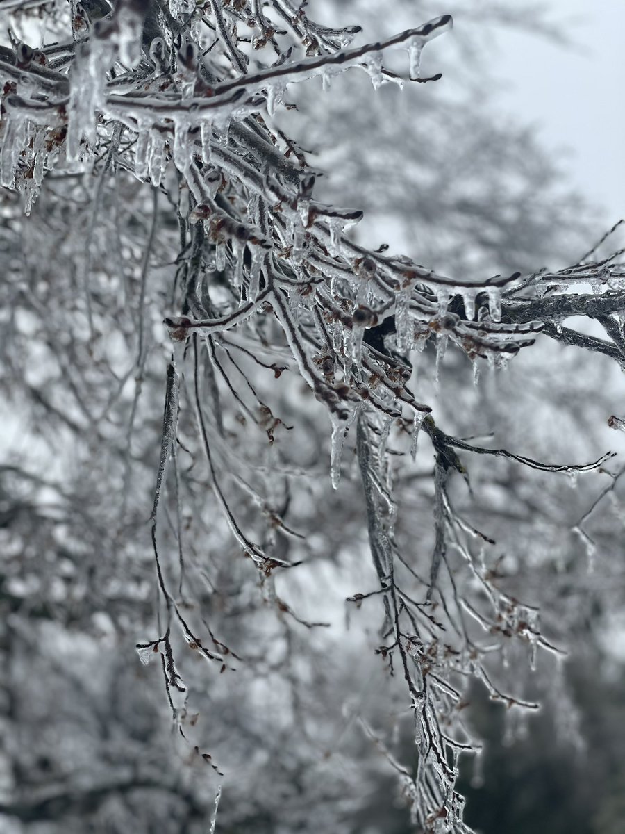 Mia Montgomery tweet media