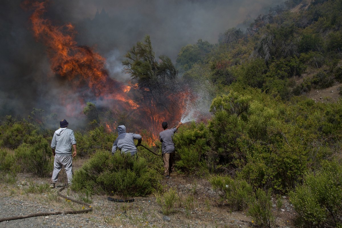 fmlatribu's tweet photo. #LaTribuNoticias Vecinxs organizadxs combaten el fuego en el Bolsón y desmienten al Intendente | via @fmlatribu
👉 Nota completa: https://t.co/s8bpw8scID
#defensadelbosque #elbolson #apaguemoselfuego #elbolsonestaenllamas #ecocidio https://t.co/32sJKsGhKg