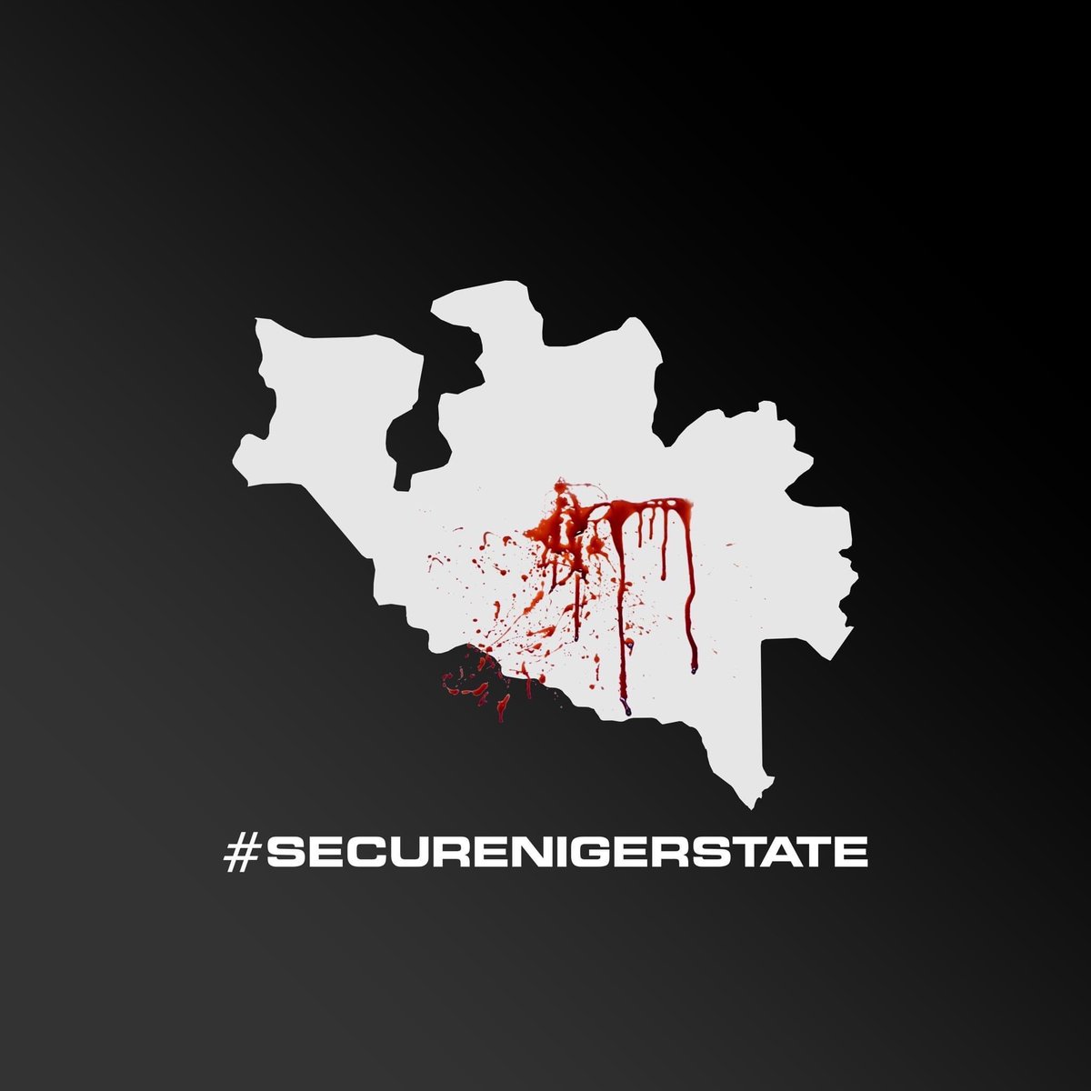 Abdullahi_wolf's tweet photo. Please do not pass without retweeting this. Do not turn a blind eye to this for Allahs (Gods)sake.

#SecureNigerState https://t.co/d4PG5WNIng