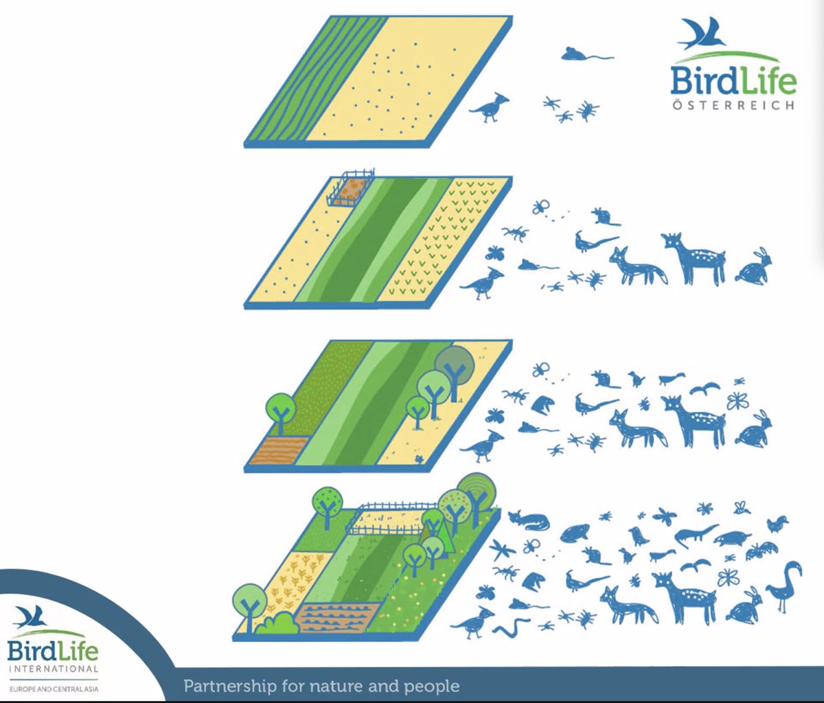 "We don't have another decade to wait for a truly Green CAP" European farm policy, says  @HarrietBirdlife.  @BirdLifeEurope calls to  #WithdrawTheCAP, which is still possible through this spring. "10 tests for  #greendeal farm policy" from  @Green_Europe https://eeb.org/library/10-tests-for-a-green-deal-compatible-farming-policy/ (5/n)
