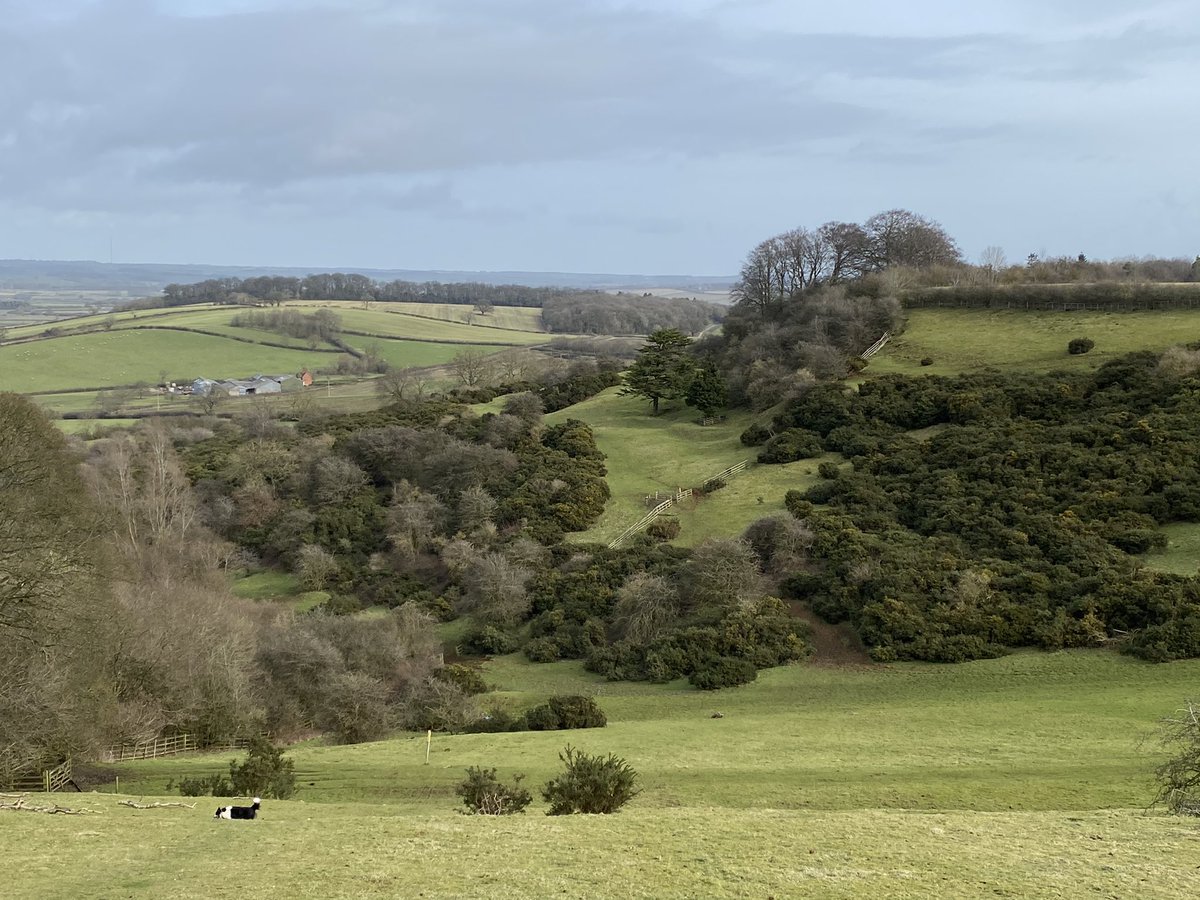 Burrough Hill tweet media