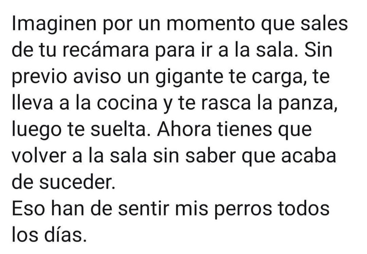 esterilizados's tweet photo. Jajajajajajaj. Y sí https://t.co/gndc28MpHN