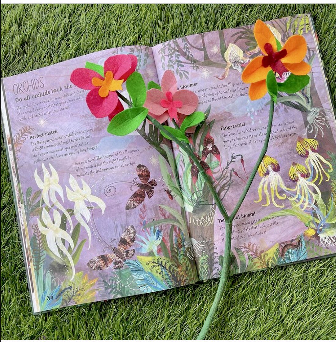 yuvalzommer's tweet image. #homeschooling2021 
‘O’ is for orchids 
and ‘C’ is for readers’ creativity!
 #TheBigBookOfBlooms #bigbookskidart #EveryChildIsAnArtist 
@thamesandhudson
