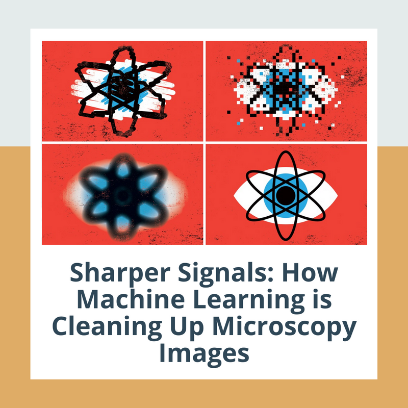 ScorpionVisUK's tweet image. 🔎 "Computers trained to reduce the noise in micrographs can now tackle fresh data by themselves." 

Learn how that's possible! 👇
nature.com/articles/d4158… 

#ScorpionVision #MachineVision #Micrographs #Data #Noise