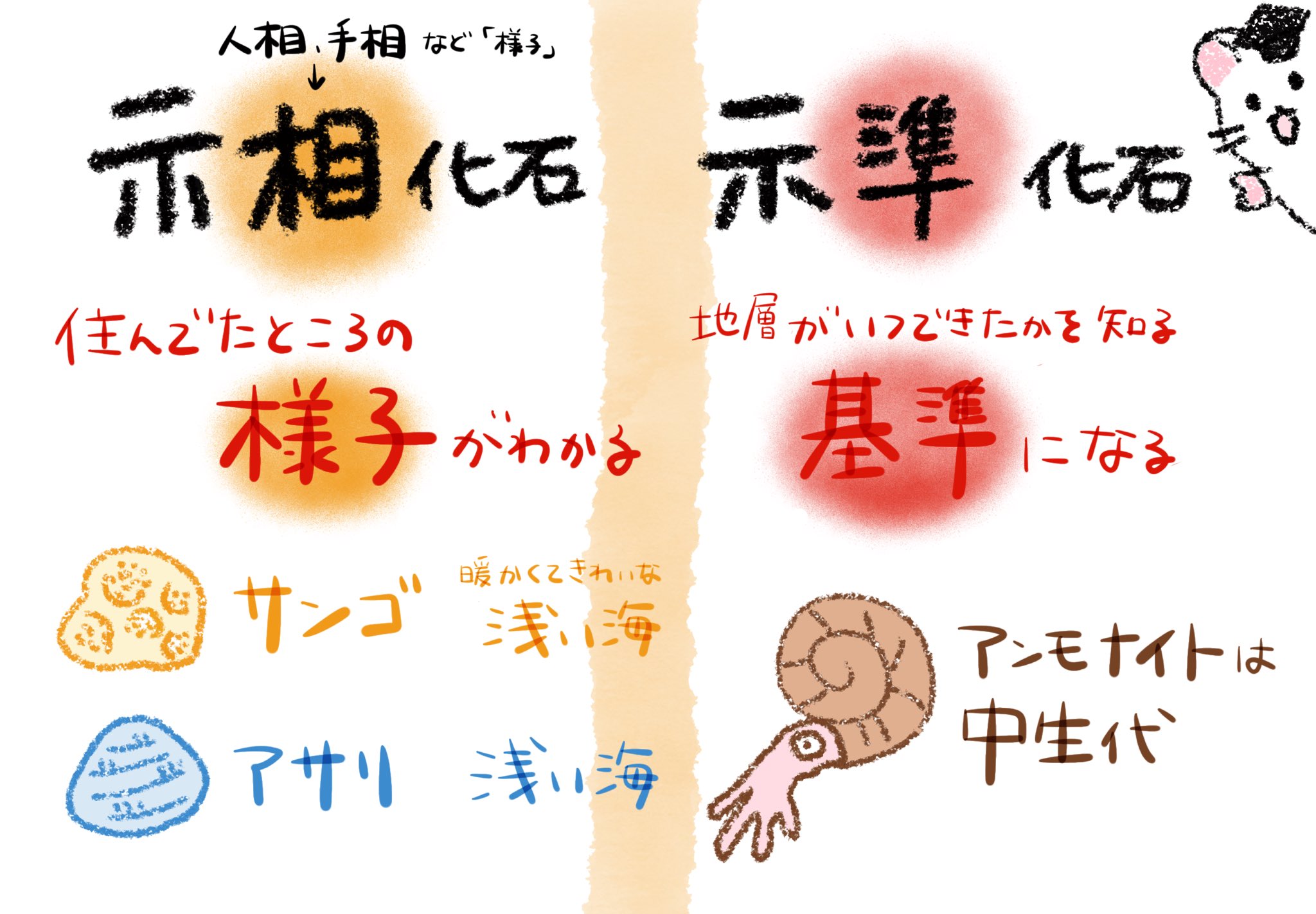 理科のおとも ゆるイラスト Rika No Otomo Twitter