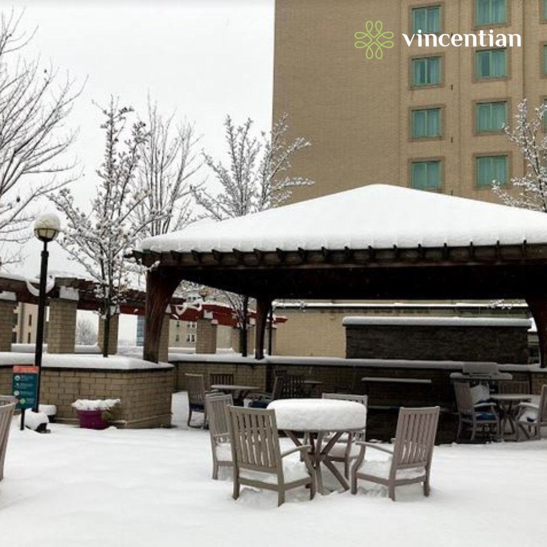 Kindness is like snow, it beautifies everything it covers.

#VCS #VincentianSchenleyGardens #WinterWeather