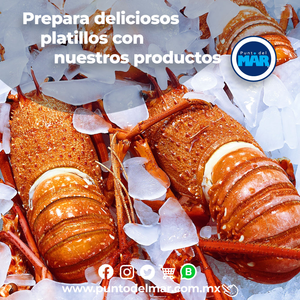 puntodelmar's tweet photo. Pescados y mariscos 🐟🦞🦐🦀🐙 a la puerta de tu casa 🥳 lo mejor para preparar a tu gusto, compra con nosotros y verás lo que es bueno!! 👉🏻 https://t.co/XS9Ccls12s https://t.co/Ci3gKHhDcE