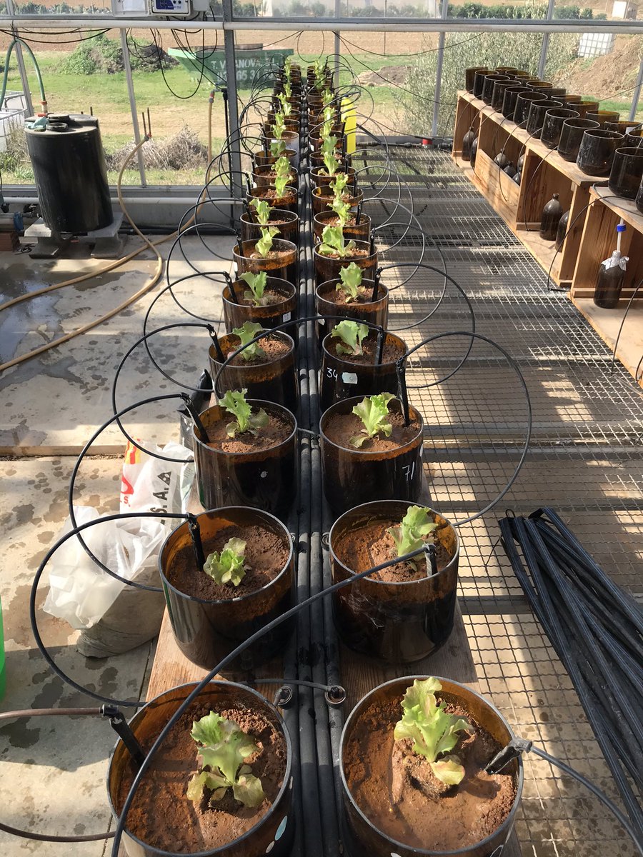 Environmental Pollution & Agriculture (EPA) tweet media