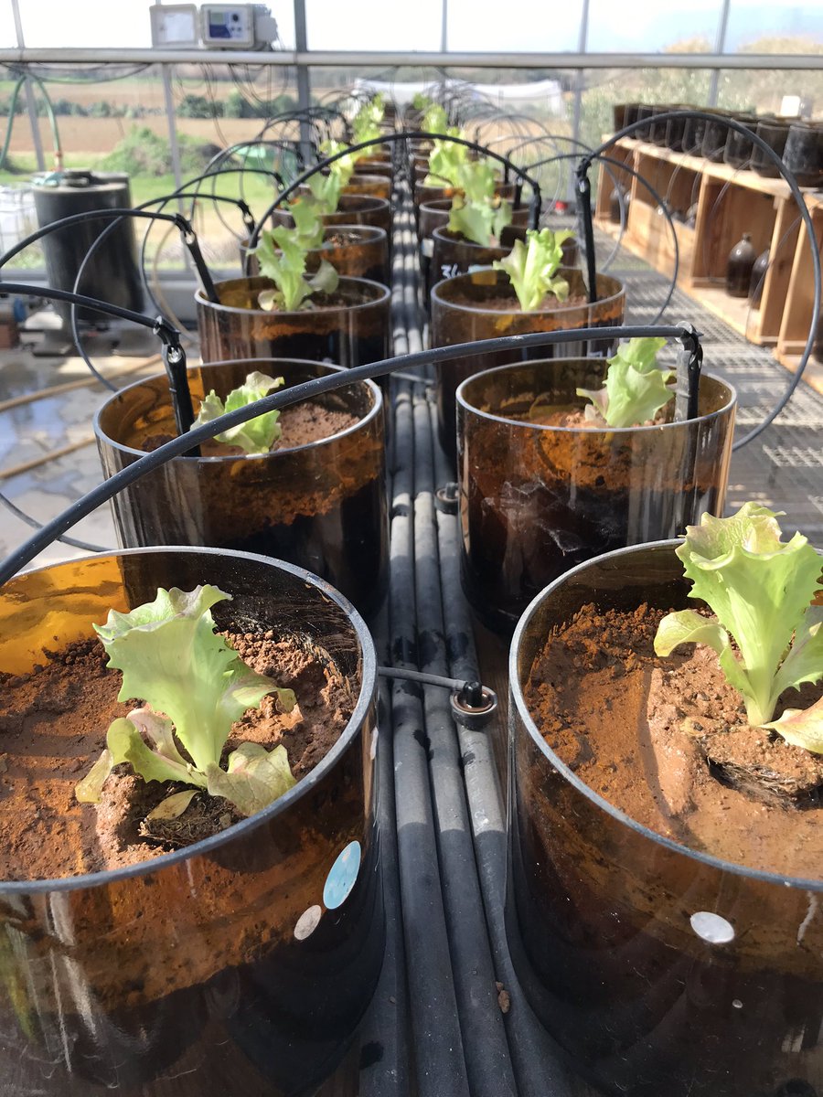 Environmental Pollution & Agriculture (EPA) tweet media