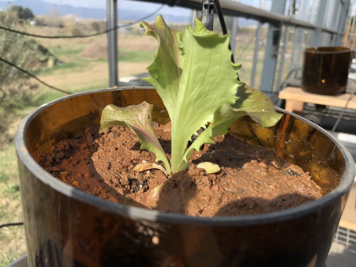 Environmental Pollution & Agriculture (EPA) tweet media