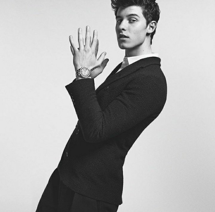 sevenassemble's tweet photo. pov: you're a shawn stan in 2017 https://t.co/PVQOZYjELi