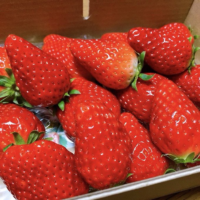 Twitterのコスプレ画像39