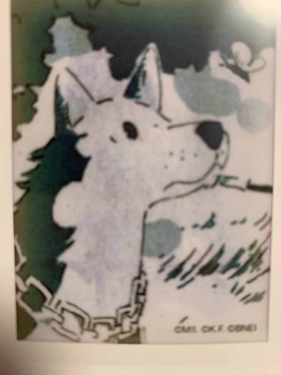 ハヤト Enotahope Twitter ハヤト Enotahope Twitter