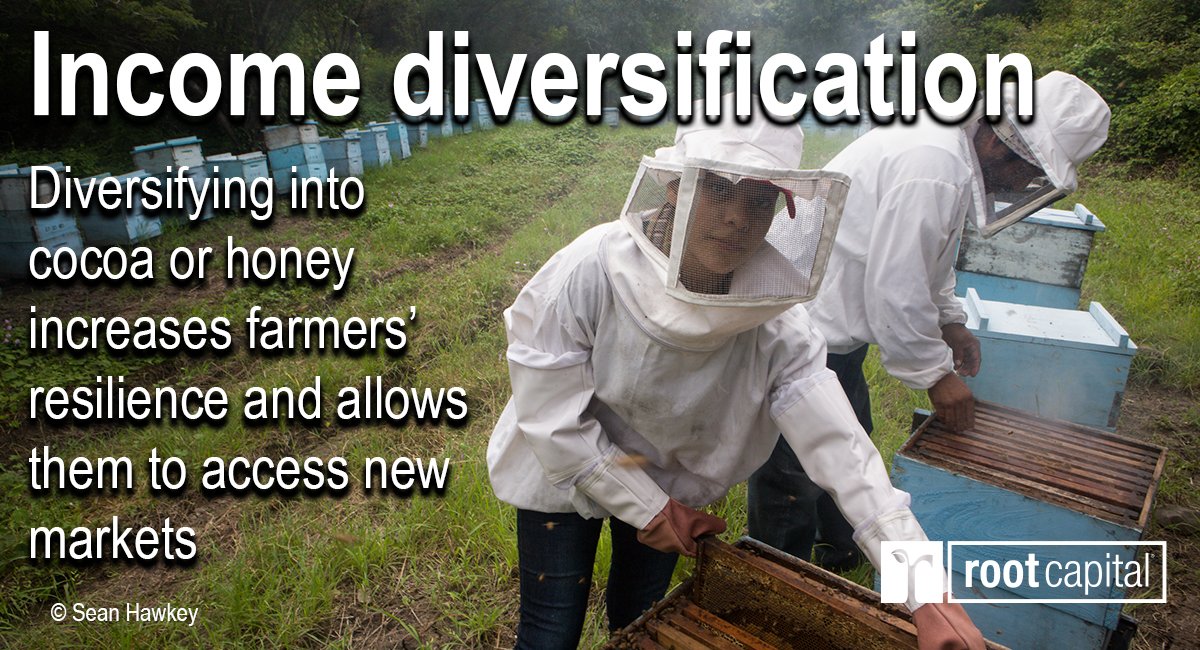 What does income diversification mean to a coffee farmer? And how are rural businesses using it as part of holistic climate action that protects the environment and preserves livelihoods? Learn more in our photo essay: ow.ly/CrFF50DzeM9