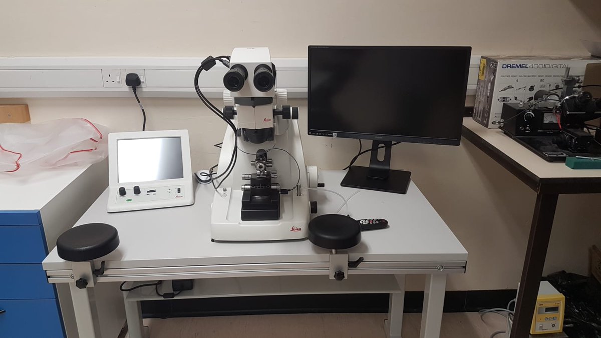 Chris Henstridge tweet media