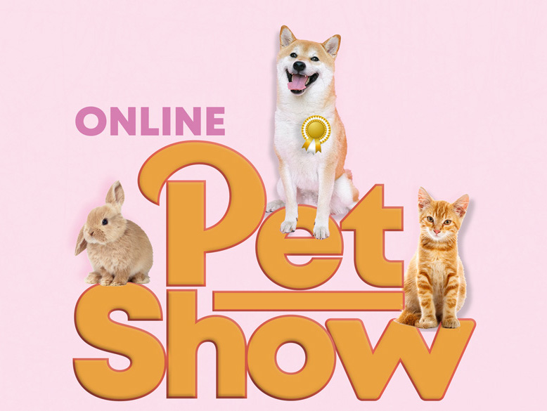 Bath & Wilts Parent (@bath_wilt_p) on Twitter photo Does your family own a marvellous mutt or fantastic feline? Then do enter <a href="/BathCDH/">Bath Cats & Dogs Home</a> fun online pet show. There are plenty of categories to choose from including “Sleeping Beauty” and “Goofiest Pet”. #Halfterm Does your family own a marvellous mutt or fantastic feline? Then do enter <a href="/BathCDH/">Bath Cats & Dogs Home</a> fun online pet show. There are plenty of categories to choose from including “Sleeping Beauty” and “Goofiest Pet”. #Halfterm