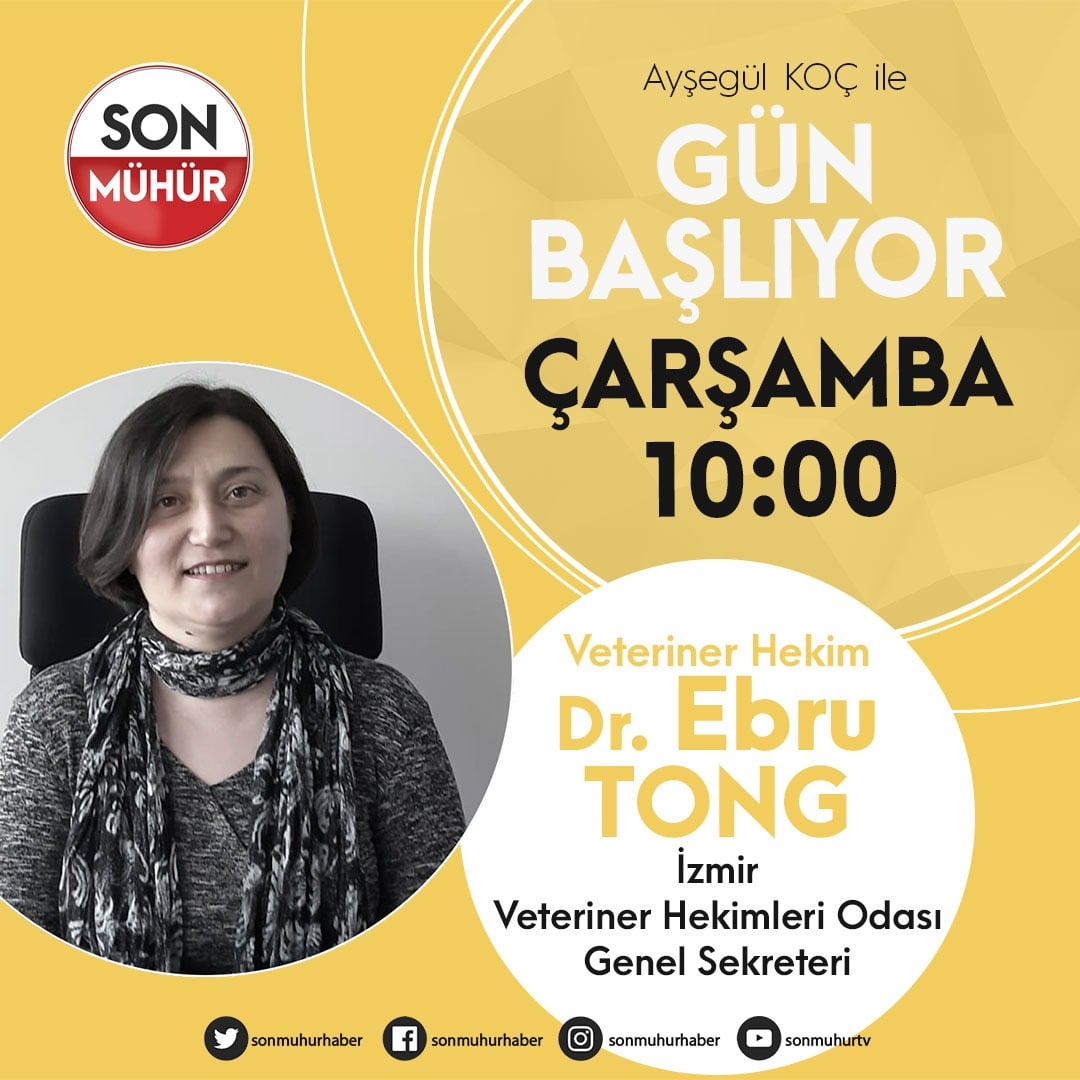 İzmir Veteriner Hekimleri Odası Genel Sekreteri Veteriner Hekim Dr. Ebru TONG canlı yayında Hayvan Hakları Yasa Tasarısını değerlendirdi.
youtu.be/jiWL6lB_sNk
...