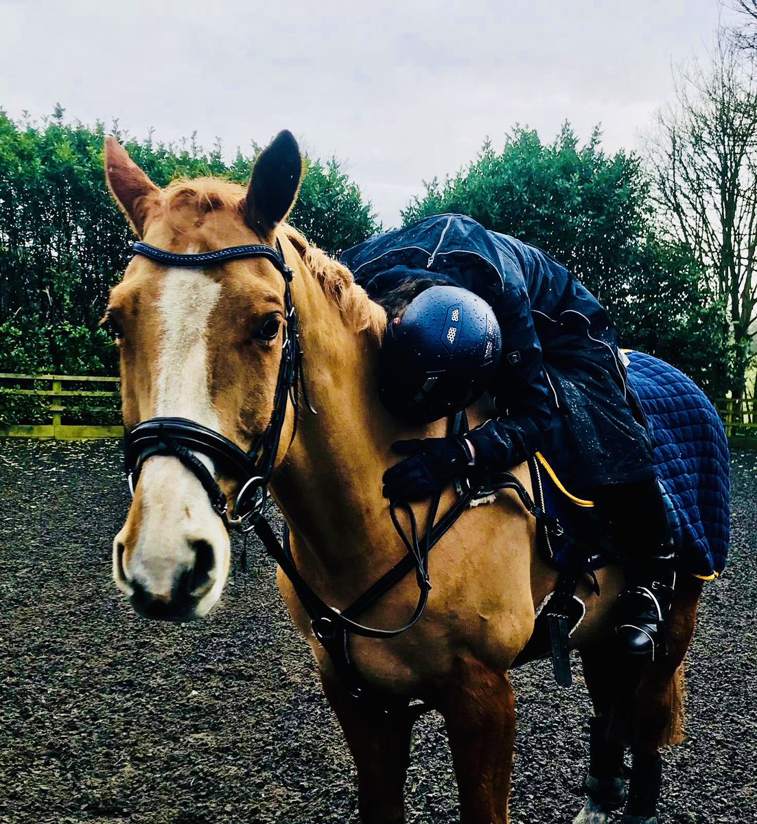 Happy Gotcha Day Remy. A pandemic may have ruined our plans but we will never stop dreaming. #remyparastar #happygotchaday #fouryears #betterneverstops #neverstopdreaming #foreverlearning