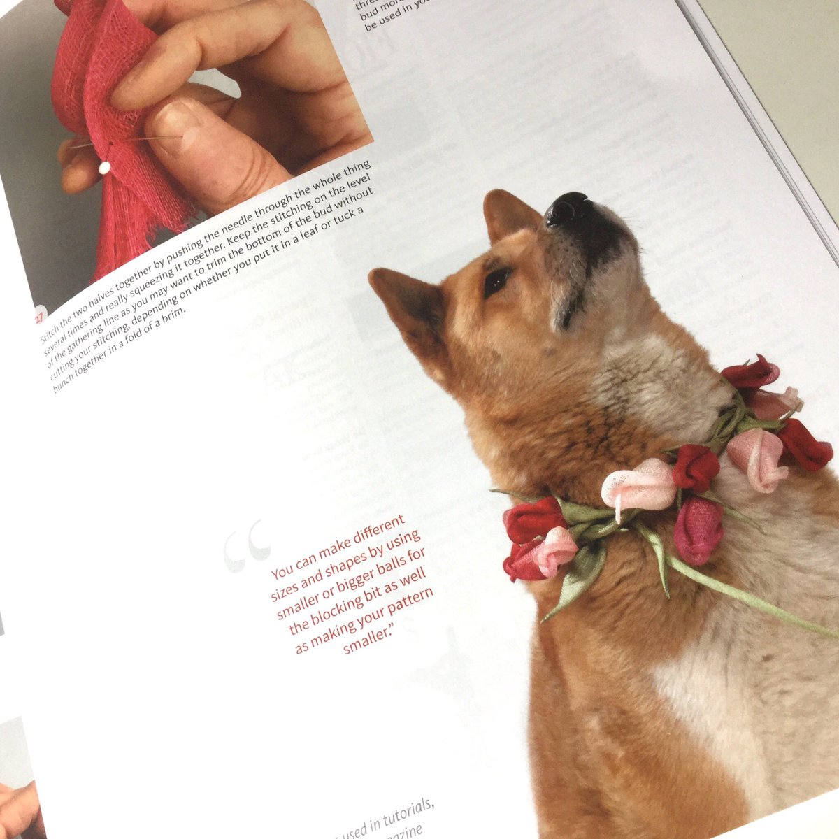 Issue 88 of The Hat Magazine is out!  It’s the first time that they’ve had a guest-editor! Join <a href="/RTMMillinery/">Rachel Trevor Morgan</a>’s celebration of craftsmanship and British millinery, workroom technique 'Sinamay rose bud' by Bridget Bailey and more.