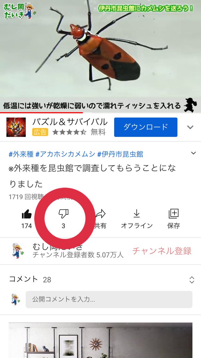 エマ ウッズ Monitor037 Twitter エマ ウッズ Monitor037 Twitter