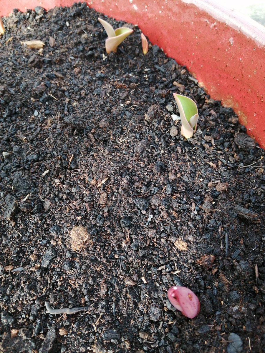 It's all kicking off.
Happy Wednesday 🌞