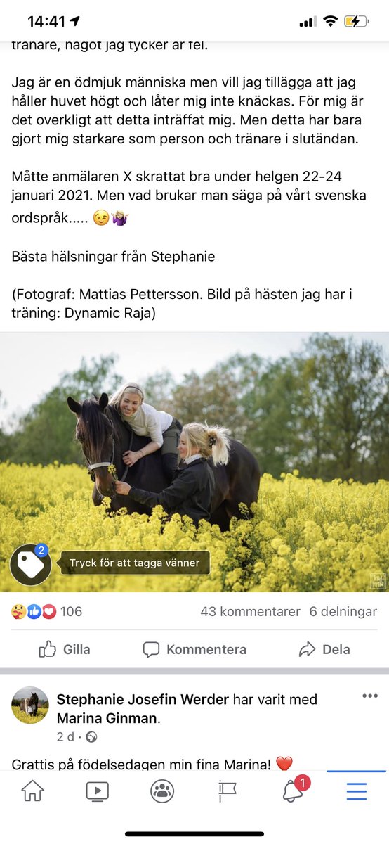Här kommer information och domen jag fick för magnetbandagen Halmstad 25/1 på Dynamic Raja.
