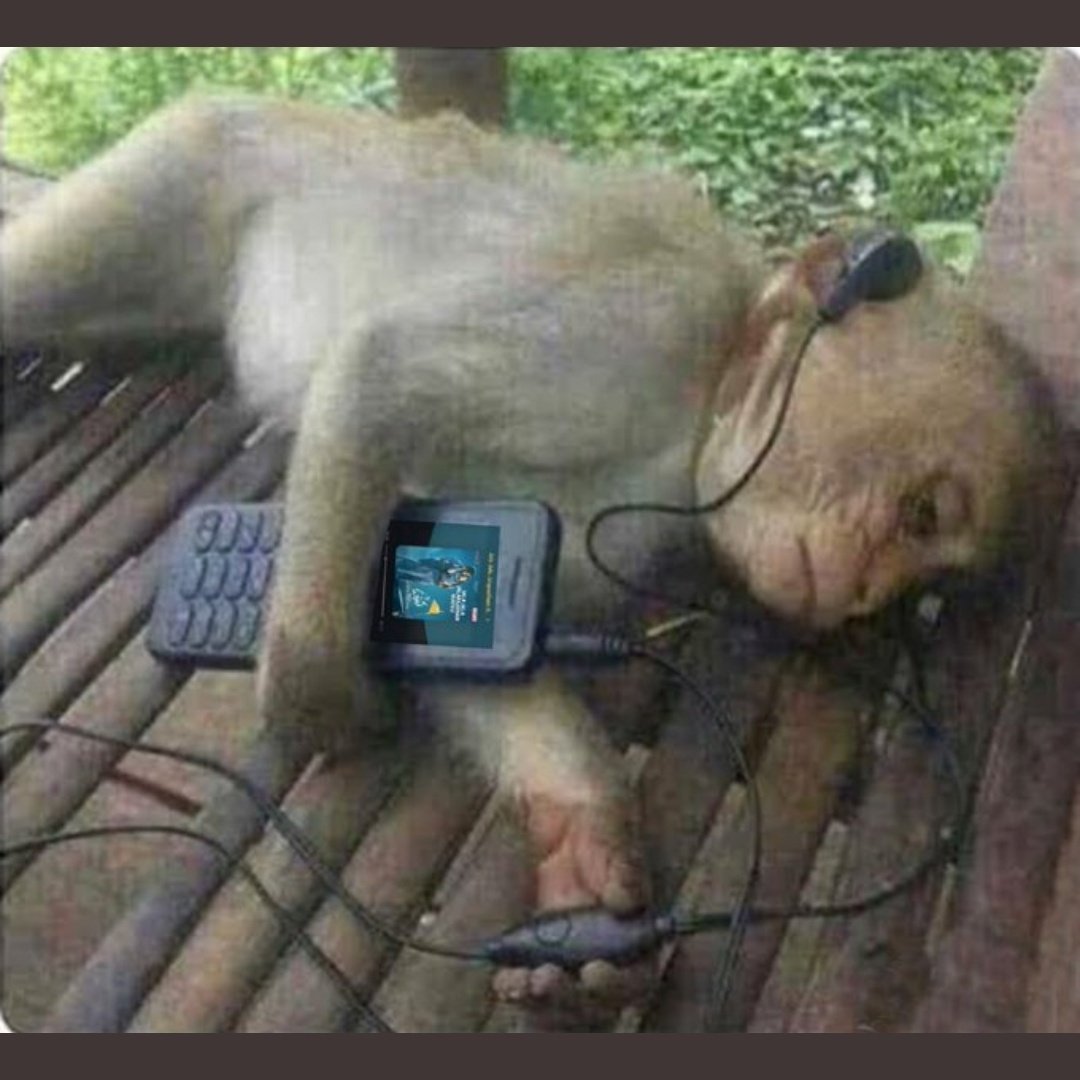 The same sad monkey listening to music.