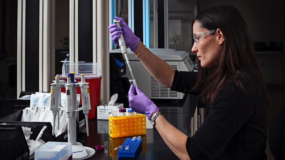 La posición de #postdoc suele estar en un limbo con limitaciones como no poder supervisar perfiles interesantes de PhD, pedir proyectos por no ser #PIs o si puedes pedirlos, tener problemas de #PropiedadIntelectual y autoría con supervisores e instituciones.
¿Qué opináis?