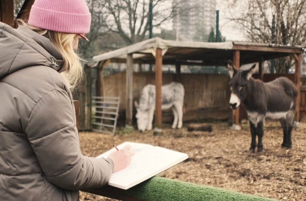 Not a big tweeter, but just popping on to share the first in the series of drawing tutorial films - Donkeys in Pencil w/ @spitz_cityfarm All you need is paper and a pencil, perfect rainy #halfterm activity m.youtube.com/watch?v=7A2-7m…