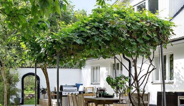 Découvrez 15 idées d'#AménagementsExtérieurs réussis pour vous inspirer 🌳  mon.clicnews.link/r/-ldqize