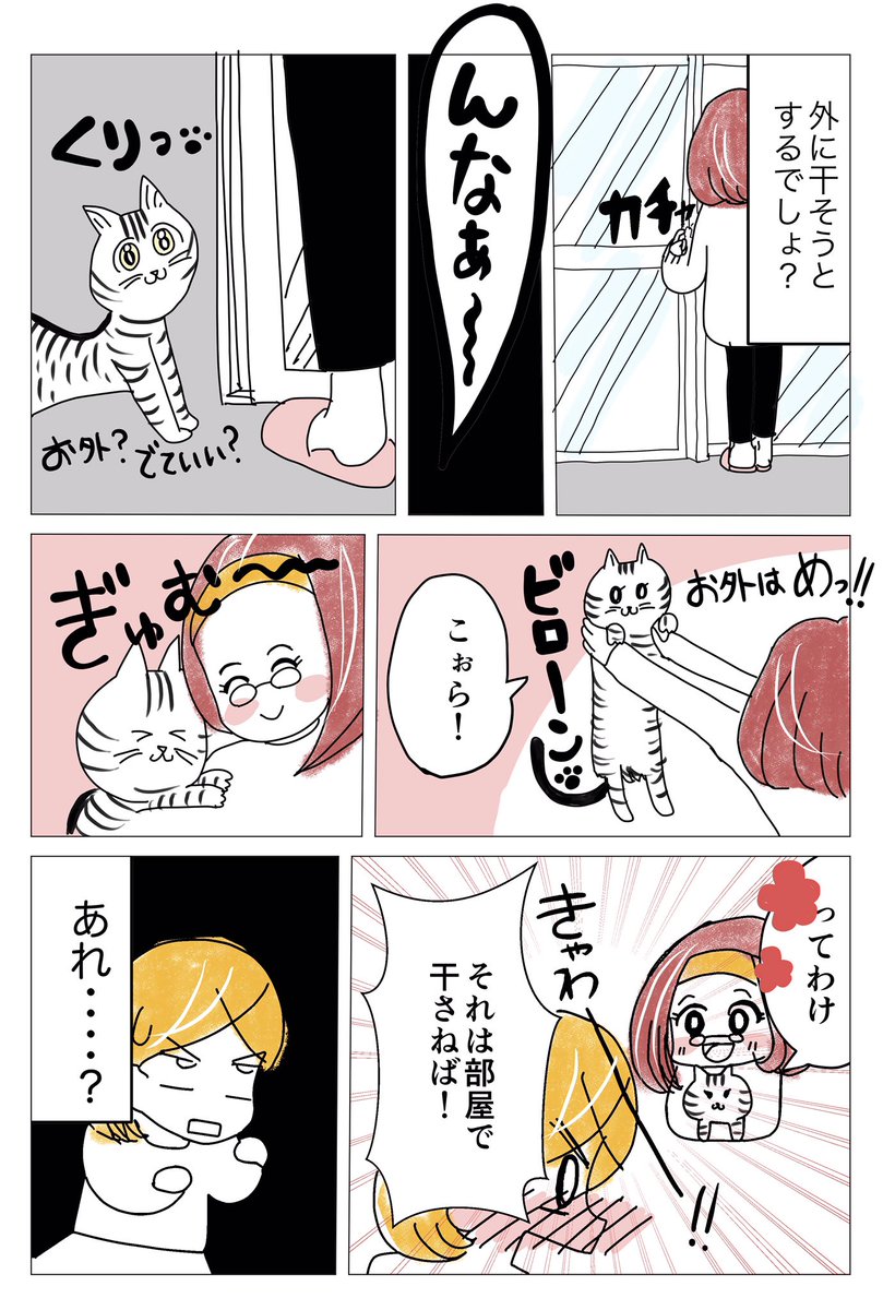 ?水曜日は★センタクモノの日?
洗濯には人それぞれの生き方があらわれる!
洗濯インタビュー5人目
『絶対★部屋干し姉さん』(全5ページ)
#水曜日はセンタクモノの日