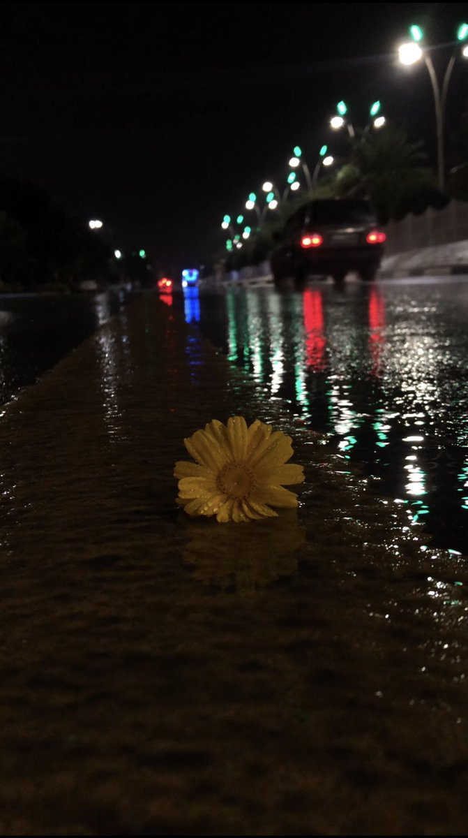 Az_def7's tweet image. الصورة                           الكواليس