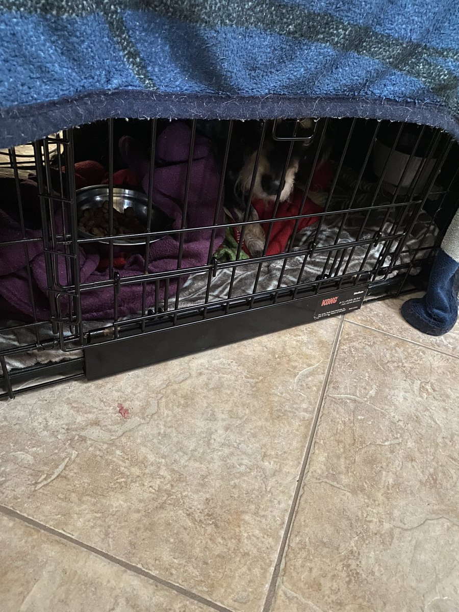 MysticCindi's tweet photo. Three hours later, we are home. No power. Exhausted. Worried. https://t.co/GeKFbKbToM