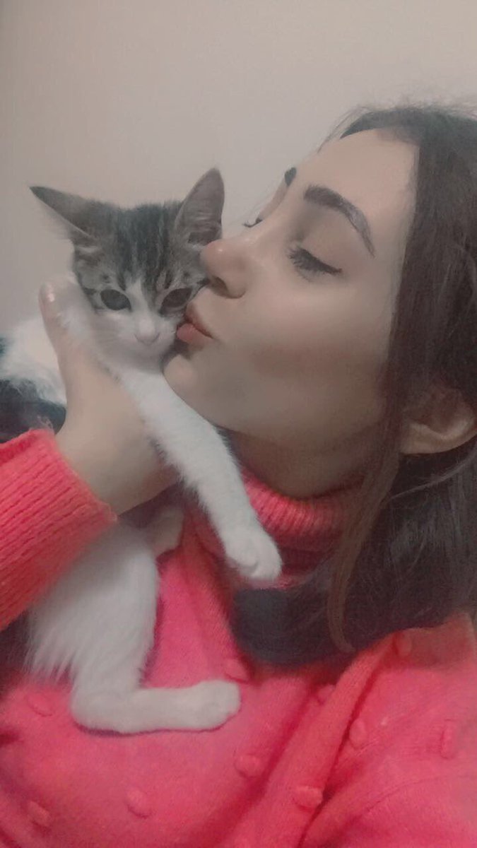SadeceNisa's tweet photo. İyi ki hayatta kaldın annecim. Seni seviyorum Ruby ❣️🎈 #DünyaKedilerGünü https://t.co/RUqTBlrfmx