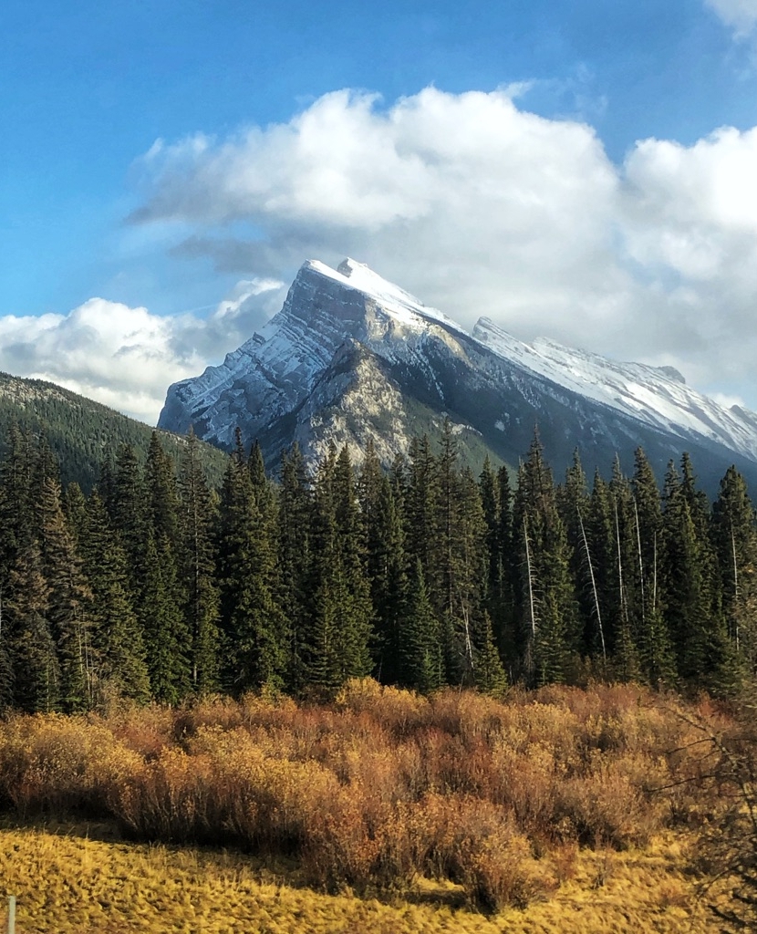 TBEExplorer's tweet image. My darling mother had the Canadian Rockies on her travel bucket list but unfortunately passed from Ovarian Cancer before getting the opportunity to go. So I went for her. 

This one is for you Mum x

#canadianrockies  #solofemaletravel #travelphotographer  #thebrighteyedexplorer