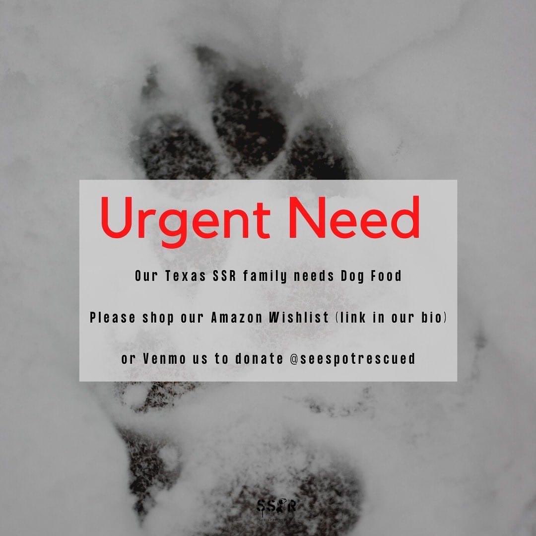 SeeSpotRescued's tweet photo. Please consider shopping our Amazon wishlist at https://t.co/PXexRnyjnH  and/or donating directly through Venmo to @seespotrescued https://t.co/S97VqnNJD4
