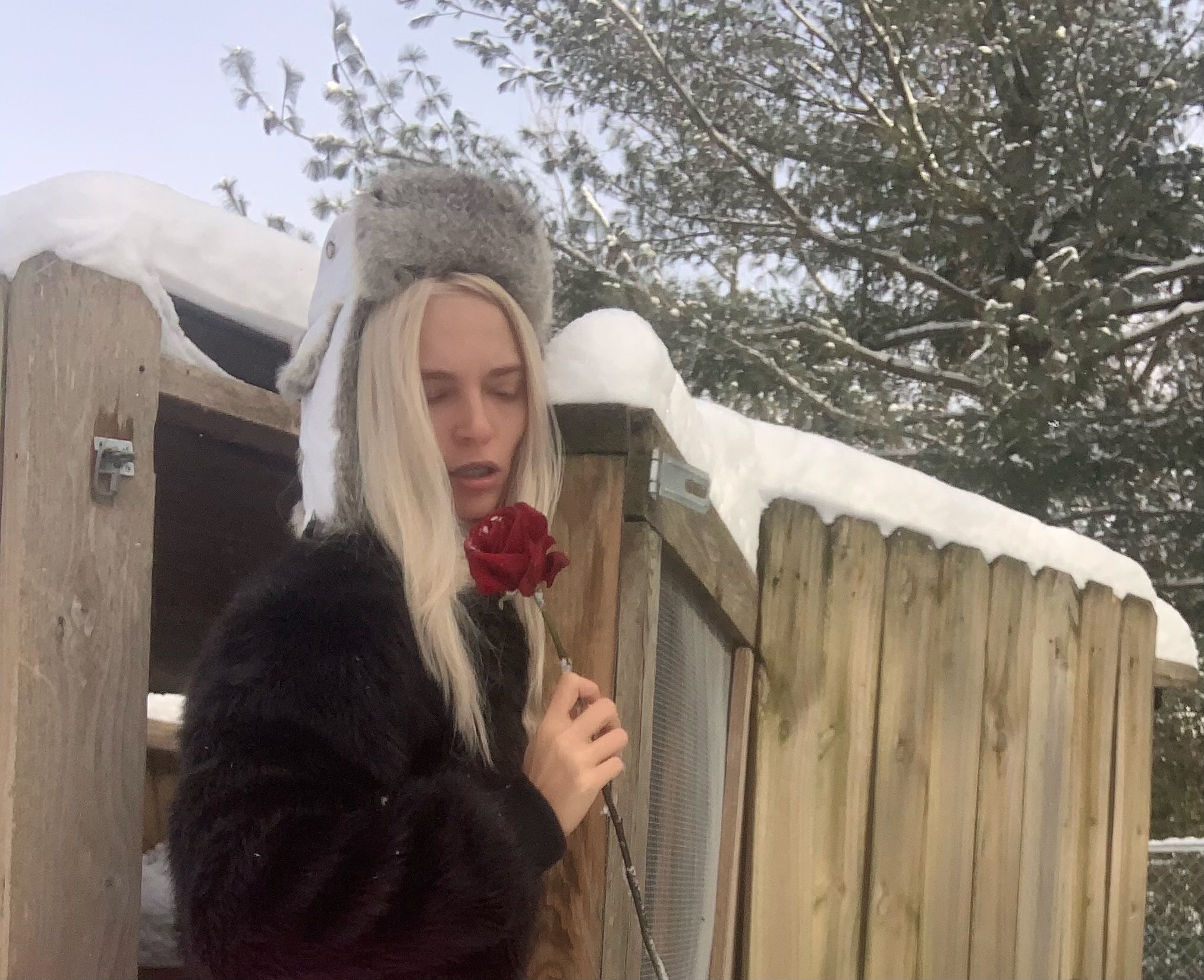 TW Pornstars - 4 pic. Lana Sharapova. Twitter. Do you have my onlyfans yet?. 7:13 PM - 17 Feb 2021