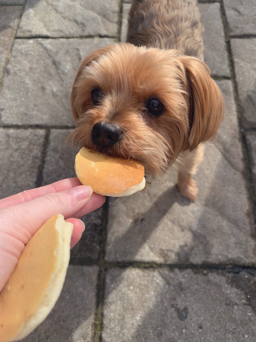 Mollie said yes I will chomp on this thank you