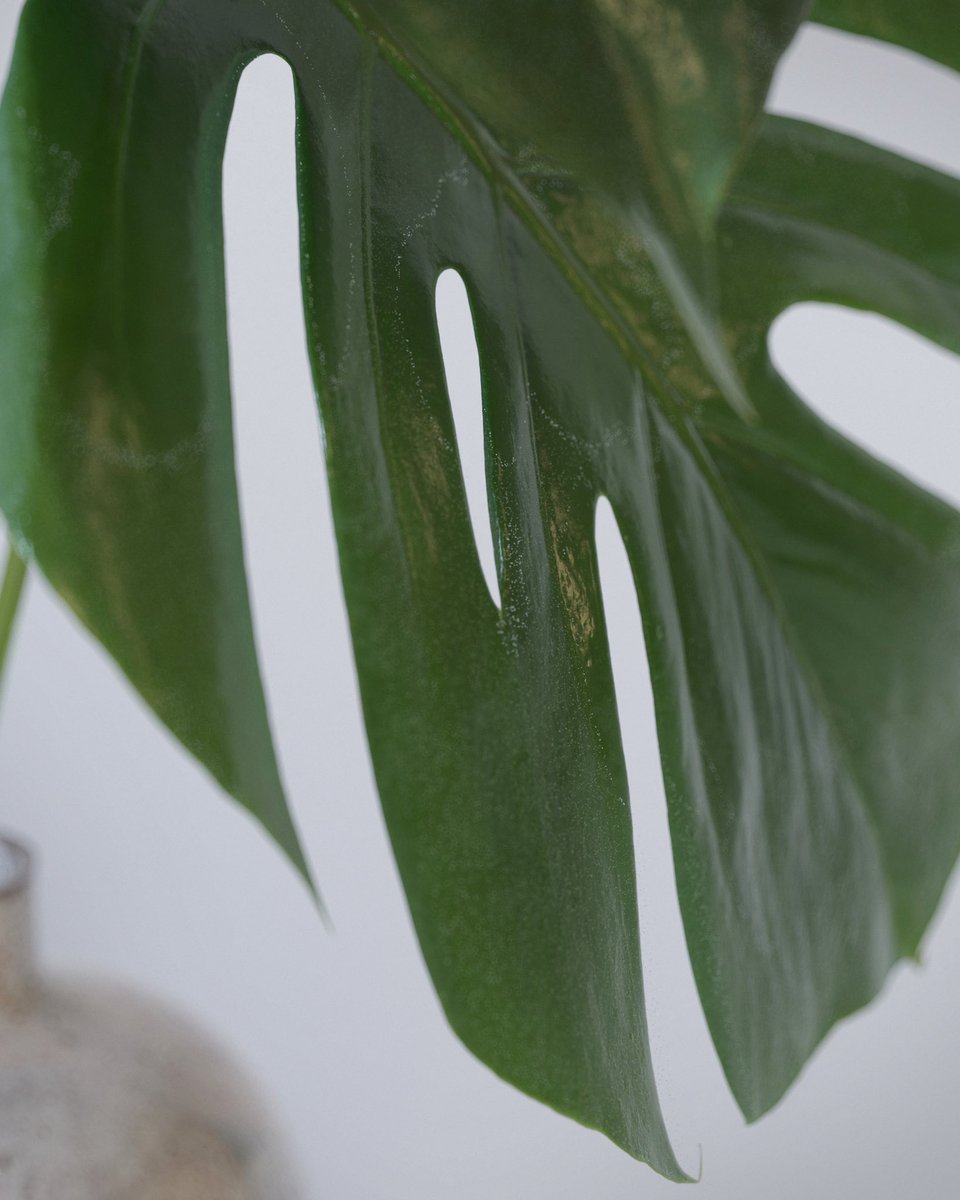 yannikwenk's tweet image. Bridging digital nature and ceramics with the @aixterior library.

#c4d #cinema4d