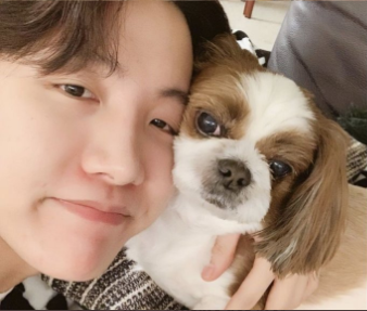 twt_chaeunwoo's tweet photo. #JHOPE said in his vlive today that mickey is sick ๐๐
i hope he gets well soon ๐๐
sending love your way mickey ๐ณ
#HobiDay #HOBI #HOSEOK #HoseokOurShiningStar #mickey #GetWellSoonMickey #BTS https://t.co/pflQZAWCR7