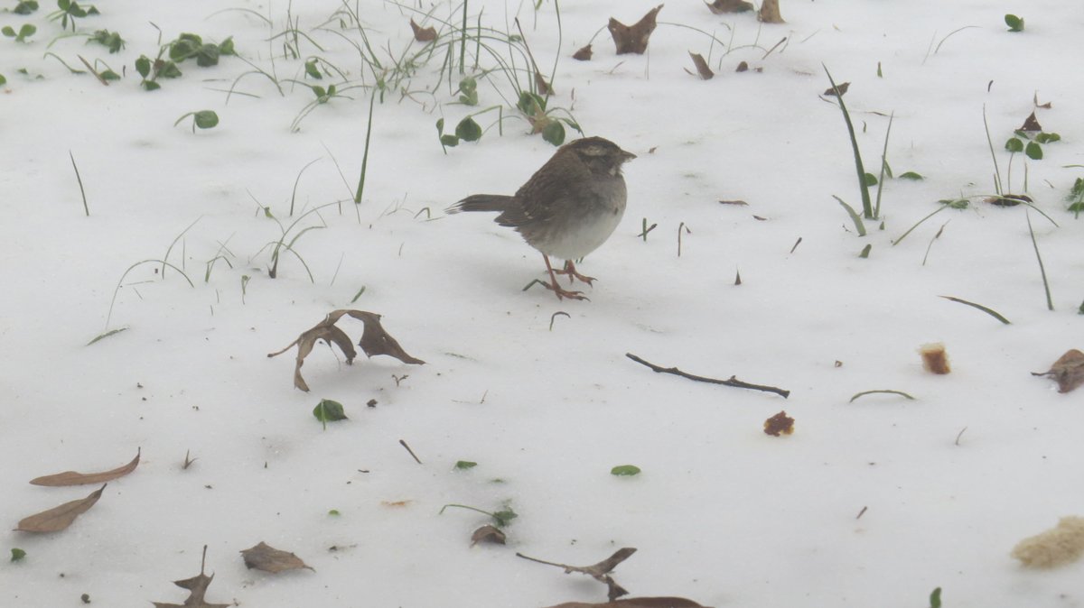 CSLC1's tweet image. Stay safe, everyone!