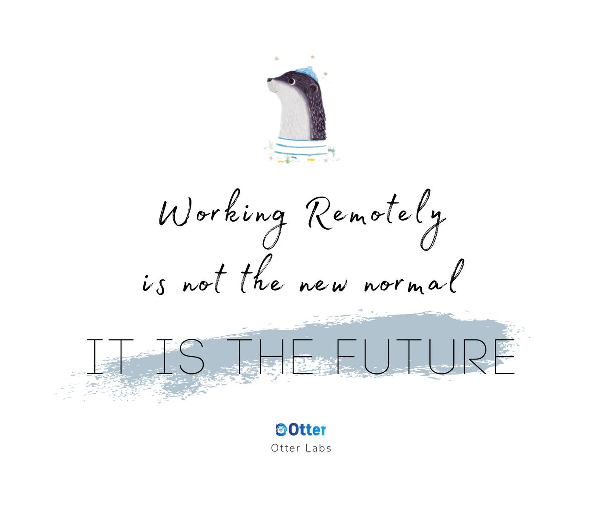 Welcome to future remote workers! #otterlabs