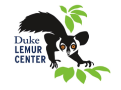 TimexCoffee's tweet photo. An animal shelter in the #US is engaged in matchmaking among elderly #lemurs. Officials at the #DukeLemurCenter have an innovative plan for the animals to spend their last days happy: pairing lemurs of other species with each other. https://t.co/GGXasiGUt0