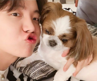 twt_chaeunwoo's tweet photo. #JHOPE said in his vlive today that mickey is sick ๐๐
i hope he gets well soon ๐๐
sending love your way mickey ๐ณ
#HobiDay #HOBI #HOSEOK #HoseokOurShiningStar #mickey #GetWellSoonMickey #BTS https://t.co/pflQZAWCR7